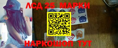 прущие грибы Будённовск