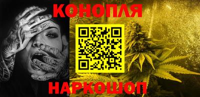 прущие грибы Будённовск