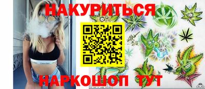 прущие грибы Будённовск