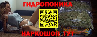 прущие грибы Будённовск
