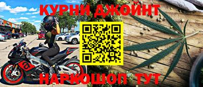 прущие грибы Будённовск
